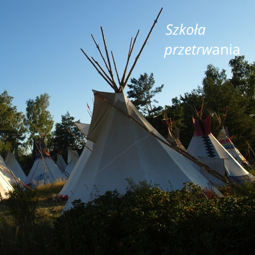 Szkoła przetrwania